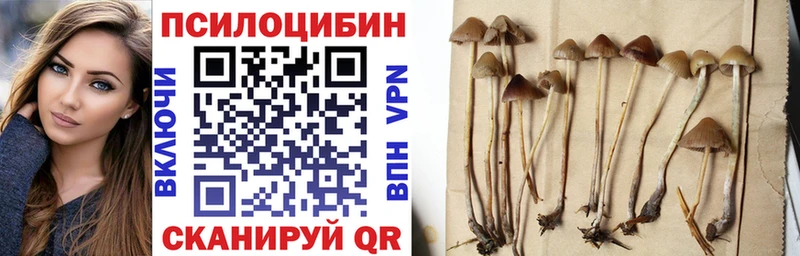 Купить закладки  Семилуки  Псилоцибиновые грибы Cubensis 